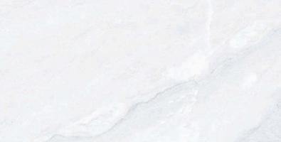 GAP69693-1