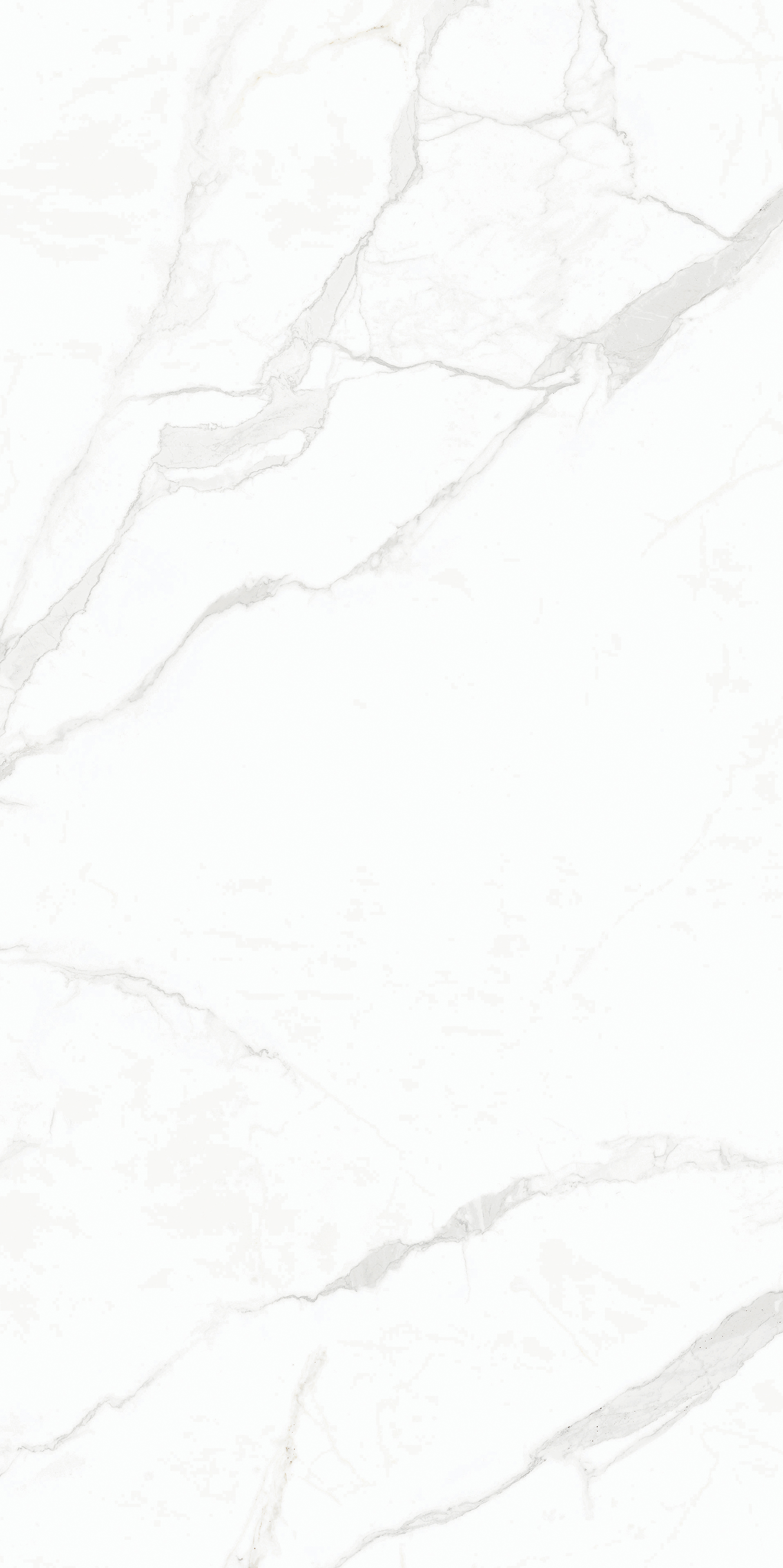 BFBPA59780
